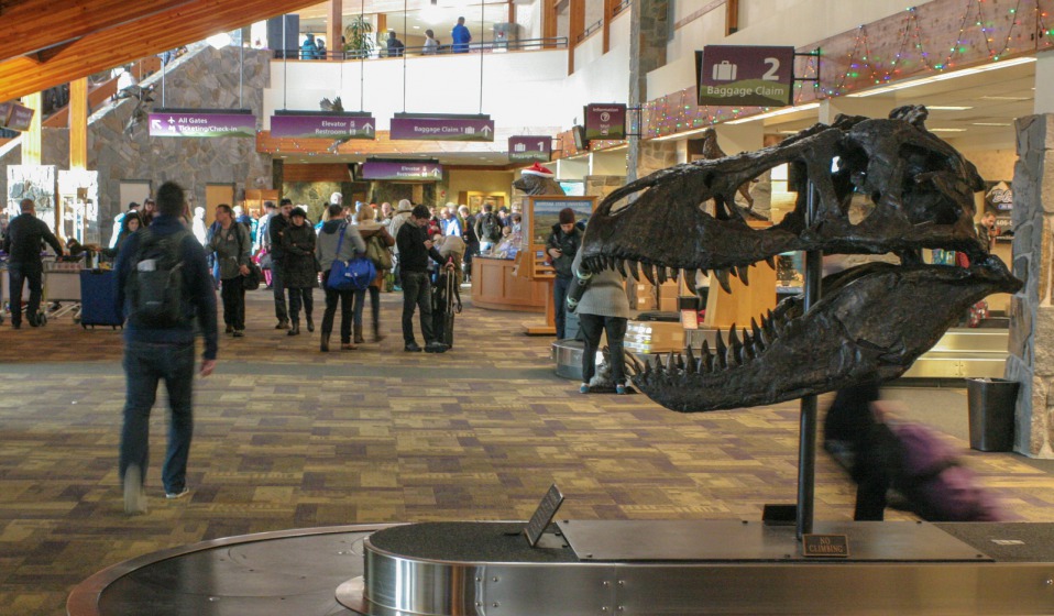 Baggage claim area in December 2017