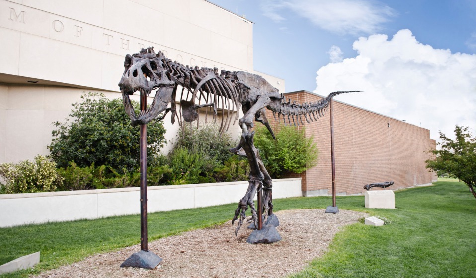 Big Mike at Museum of the Rockies